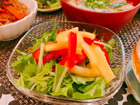 水菜とパプリカのサラダ☆